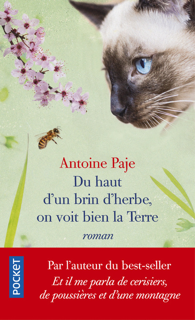 Книга Du haut d'un brin d'herbe, on voit bien la Terre Antoine Paje
