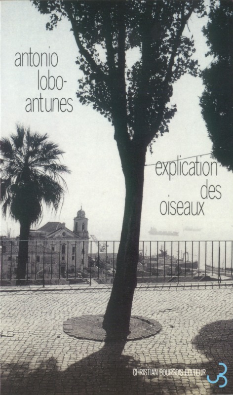 Knjiga Explication des oiseaux Antunes