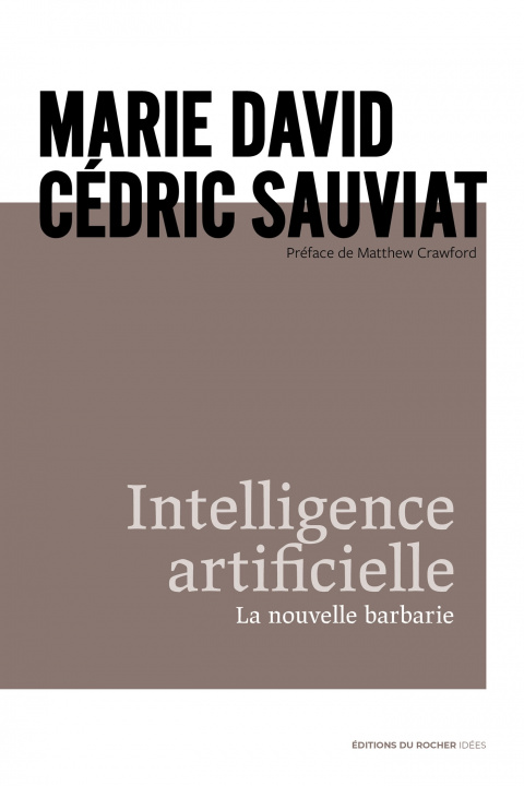 Buch Intelligence artificielle Marie David