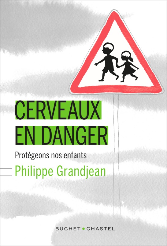 Kniha Cerveaux en danger Demange