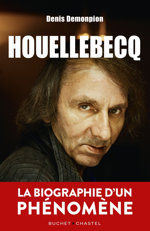 Книга Houellebecq Demonpion