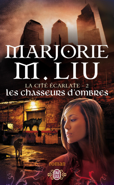 Book Les chasseurs d'ombres Liu