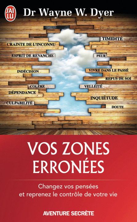 Kniha Vos zones érronées Dyer
