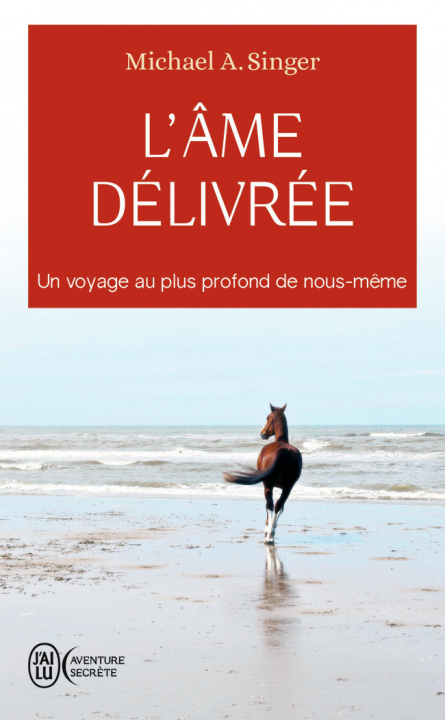 Book L'âme délivrée Singer