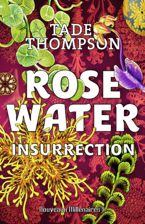 Knjiga Rosewater Thompson