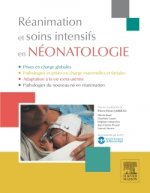 Kniha Réanimation et soins intensifs en néonatologie Pierre-Henri Jarreau
