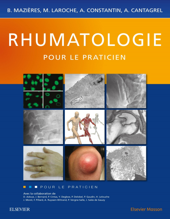 Kniha Rhumatologie pour le praticien Bernard Mazières