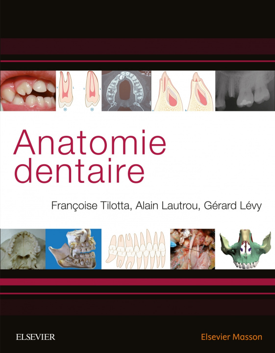 Kniha Anatomie dentaire Françoise Tilotta