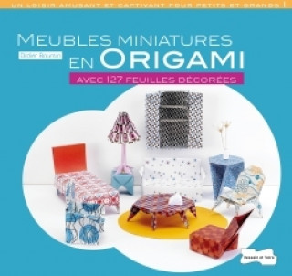 Kniha Meubles miniatures Didier Boursin