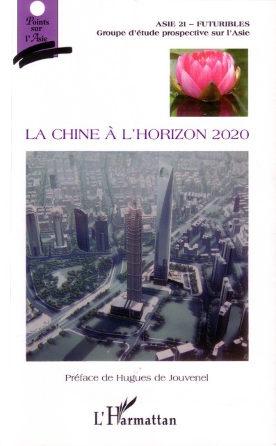 Kniha La Chine à l'horizon 2020 Delalande