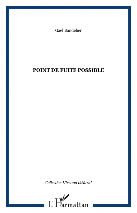 Βιβλίο Point de fuite possible Bandelier