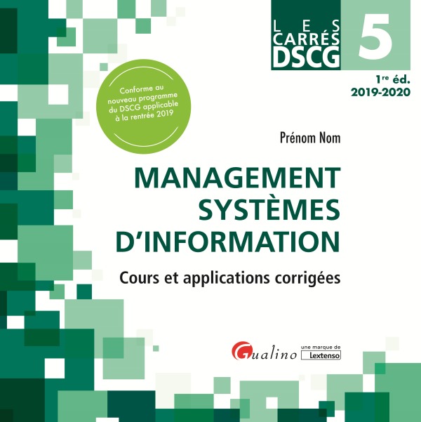 Carte DSCG 5 - management systèmes d'information DIETZ J.-L.