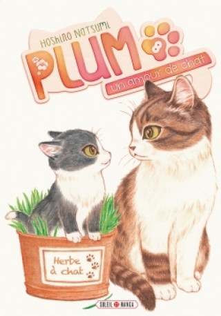 Könyv Plum, un amour de chat T08 