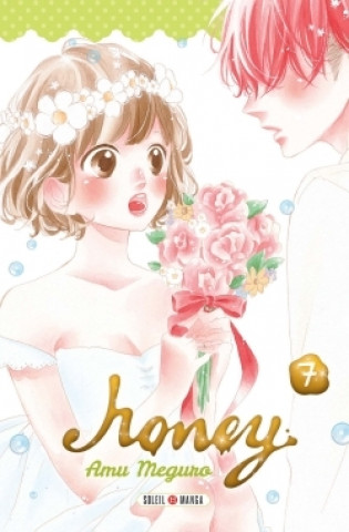 Kniha Honey T07 Amu Meguro