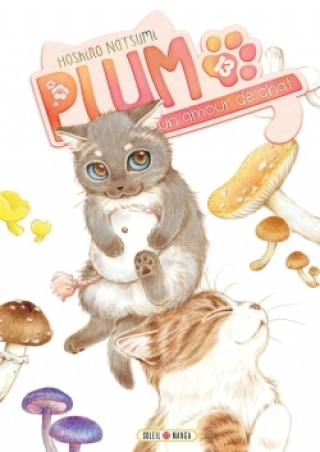 Kniha Plum, un amour de chat T13 Natsumi Hoshino