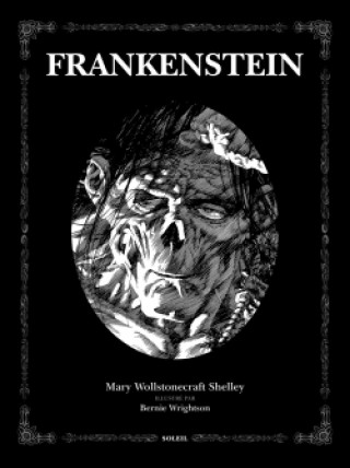 Könyv Frankenstein 