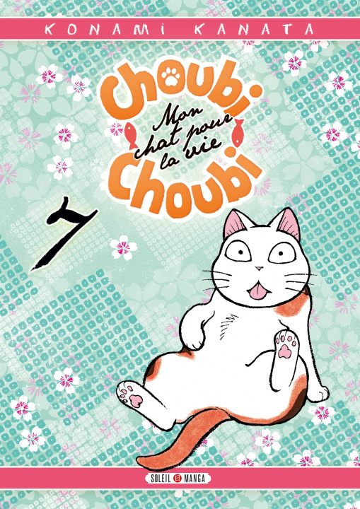 Buch Choubi-Choubi, Mon chat pour la vie T07 