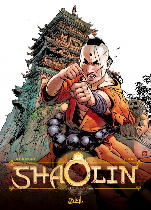 Книга Shaolin T01 