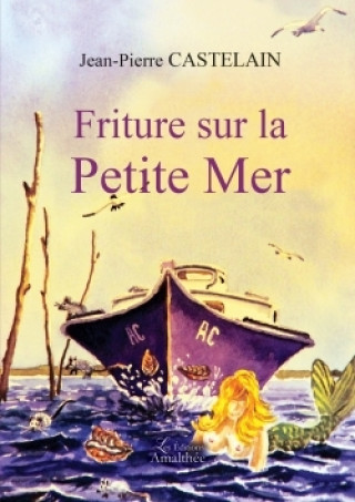 Kniha Friture sur la Petite Mer Jean-Pierre Castelain