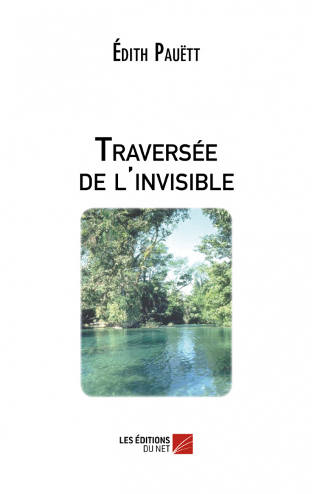 Buch Traversée de l'invisible Pauëtt