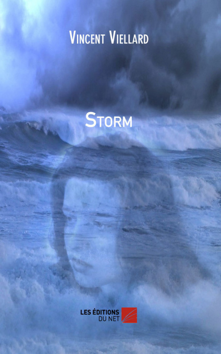 Kniha Storm Viellard