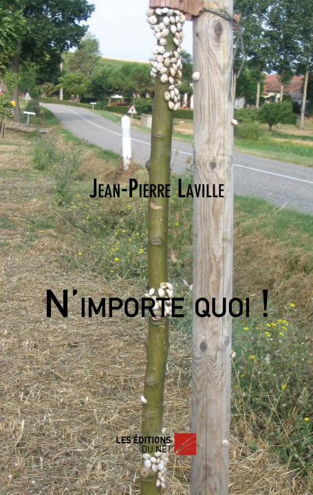 Knjiga N'importe quoi ! Laville