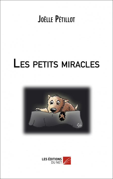 Buch Les petits miracles Pétillot
