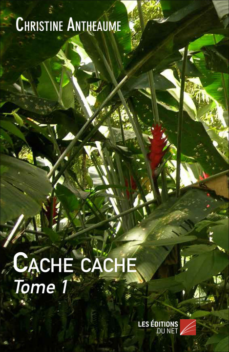 Knjiga Cache cache Antheaume