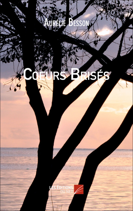 Book Coeurs Brisés Besson