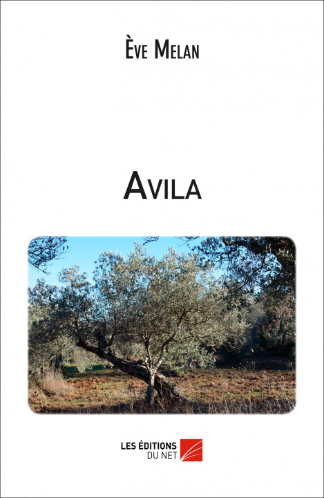 Buch Avila Melan