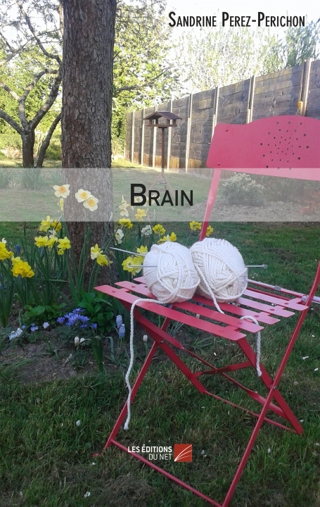Knjiga Brain Perez-Perichon