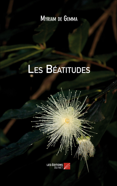 Buch Les Béatitudes de Gemma