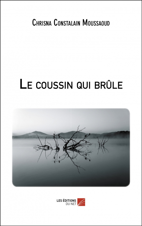 Knjiga Le coussin qui brûle Moussaoud