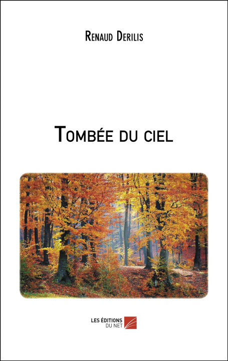 Книга Tombée du ciel Derilis