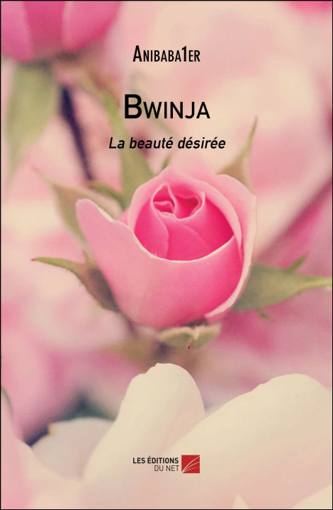 Knjiga Bwinja Anibaba1er