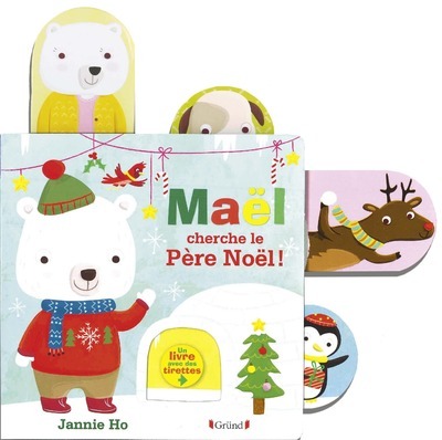 Buch Maël cherche le Père Noël Jannie Ho