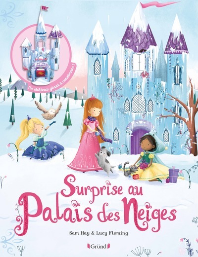 Kniha Surprise au Palais des Neiges Sam Hay