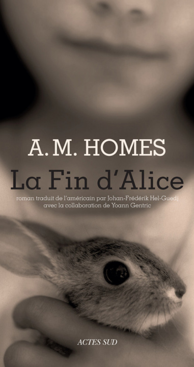 Buch La fin d'Alice Homes