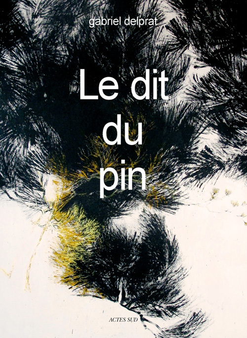Knjiga Le dit du pin Delprat