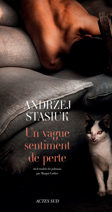 Книга UN VAGUE SENTIMENT DE PERTE ANDRZEJ STASIUK / MARGOT CARLIER