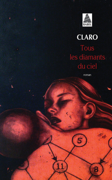 Książka Tous les diamants du ciel Claro