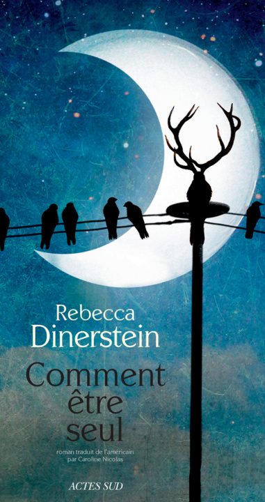 Book Comment être seul Dinerstein