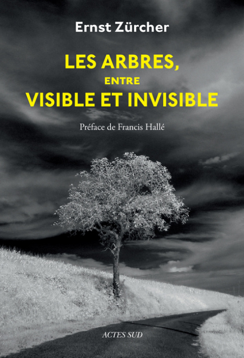 Knjiga Les Arbres, entre visible et invisible Zürcher
