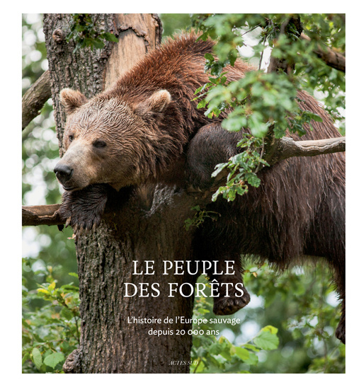 Buch Le Peuple des forêts Durand