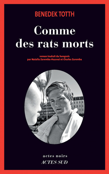 Buch Comme des rats morts Totth