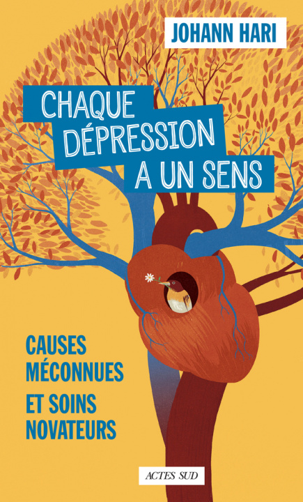 Kniha CHAQUE DEPRESSION A UN SENS ! HARI JOHANN/BALLY MARION