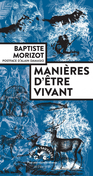 Książka Manières d'être vivant Morizot