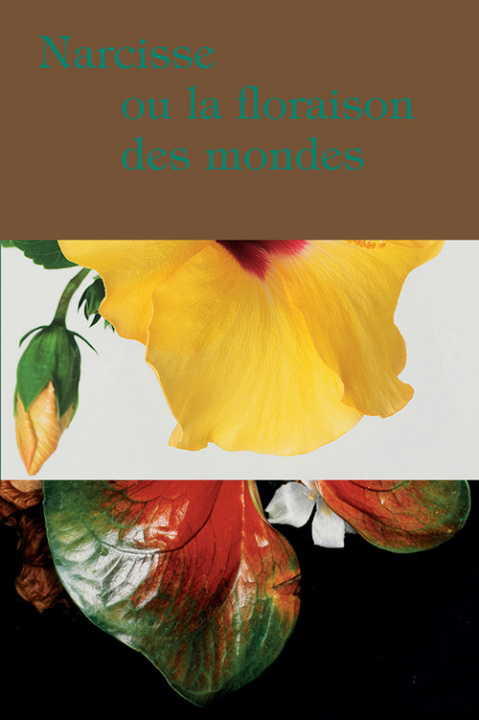 Knjiga Narcisse ou la floraison des mondes 