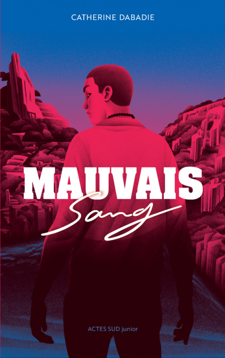 Boek Mauvais sang Dabadie