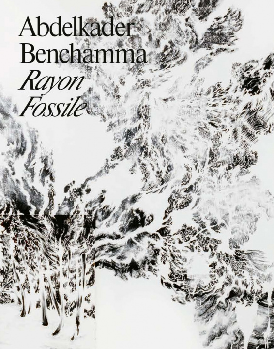 Book Abdelkader Benchamma Donnadieu